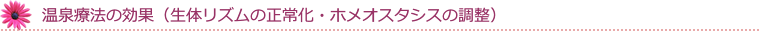 奈良県桜井市のギフトショップ「ギフト富士」に併設する薬膳料理などを扱う【養生庵】の温熱療法の効果