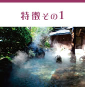 ギフト富士は奈良県桜井市のでギフトショップ！カタログ通販もしており奈良県桜井市名産の三輪そうめんや手延べうどん、手延べそばがお買い求めできます。併設する【養生庵】では薬膳料理やエステも！