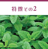 ギフト富士は奈良県桜井市のでギフトショップ！カタログ通販もしており奈良県桜井市名産の三輪そうめんや手延べうどん、手延べそばがお買い求めできます。併設する【養生庵】では薬膳料理やエステも！